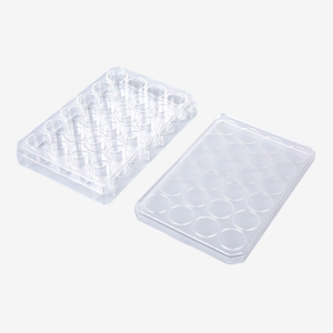 Bioland Plaque de culture cellulaire 24 puits stérile sans RNase/DNase Plat PETRi transparent à fond plat Fournitures de laboratoire PS Material - Product Image 1