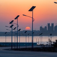 Farola Solar para Exteriores de Ahorro Energético, Garantía de 10 Años, Duradera, Impermeable, Ecológica, Postes Resistentes al Viento de 160 km/h