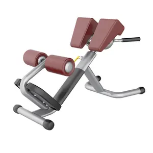 Venta directa de fábrica, equipo de gimnasio de alta calidad, silla romana, entrenamiento de fuerza, máquina comercial de silla Romana