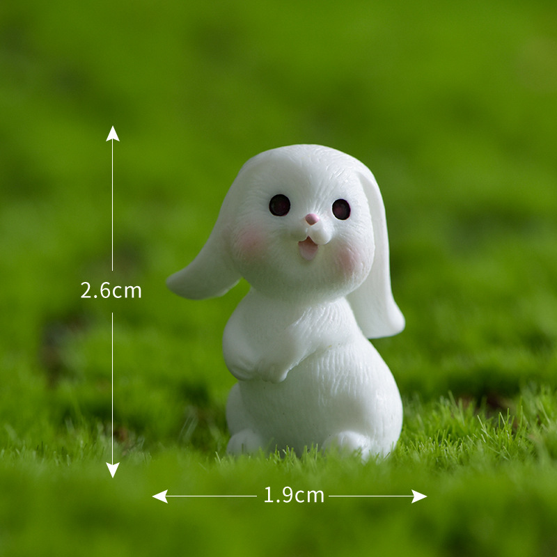N°1 lapin timide