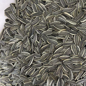Graines de tournesol biologiques brutes de grande taille, très demandées, graines de melon grillées en vrac d'origine agricole saine pour la boulangerie et la production alimentaire - Product Image 2