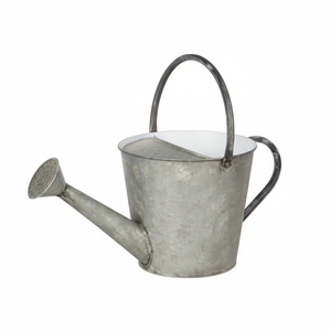 Bidon d'eau en métal galvanisé léger décoratif attrayant pour fleurs et herbes avec poignée ergonomique et conception de bec lisse - Product Image 1