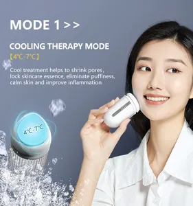 2023 Professional Beauty Devices Warm Facial Massage Instrument Ion Skin Lifting V Shape Face Beauty Device For Face