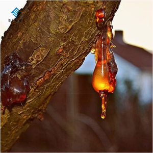 กาวอุตสาหกรรมวัตถุดิบ100% เรซินธรรมชาติเกรด WW ยางสนยางสนเกรด WW ยางสนเกรด WW - Product Image 3