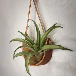 Bắc Âu Planter Chủ Trong Nhà Tùy Chỉnh Chính Hãng Da Airplant Chủ Trọng Lượng Nhẹ Không Khí Nhà Máy Võng