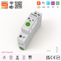 Disjoncteur intelligent WiFi en cuivre et plastique 1P+N TUYA avec compteur, 63A, télécommande sans fil pour usage industriel et domestique