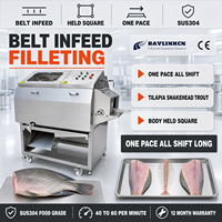 Conserverie de Poisson Fileteuse Continue de Poisson Inox Alimentaire Entrée par Tapis pour Tilapia Truite Découpe du Poisson