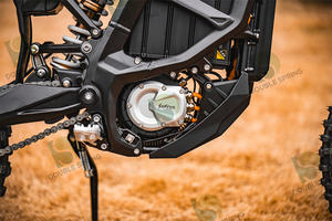 2025 Beliebtes Elektromotorrad 74V 60Ah Hohe Reichweite Elektro-Dirt-<span class=keywords><strong>Bike</strong></span> Offroad 21kW Ultra Bee - Product Image 4