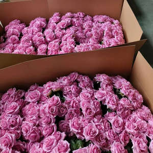J-12194 Plantes artificielles simulées en usine, fausses petites vignes de roses, bouquets de fleurs artificielles en soie, Saint-Valentin - Product Image 1