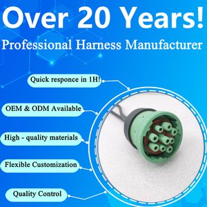 Sıcak Fırsat Özel Otomotiv J1939 Tip 2 Erkek 9pin 16pin OBD2 Dişi Adaptör Kablosu Kalay Kaplı Bakır İletkenler PVC İzolasyonlu - Product Image 6