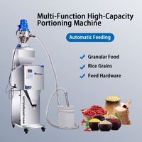 High Quality Factory Price Granule Packing Machine With Feeder 100-3000G High Precision for Seeds Beans Rice Nuts