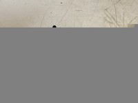 Bobine directionnelle Mannesmann 3WE6A60EG12N9K4 RR00099279