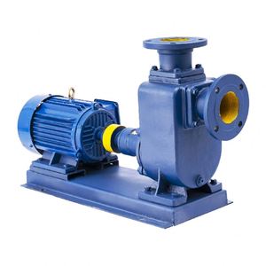 Bomba Autocebante de Hierro Fundido con Teoría Centrífuga para Agua Limpia - Product Image 3