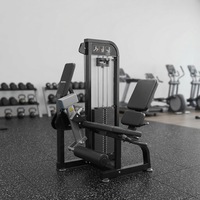 Machine de musculation professionnelle en acier à charge par poulie pour usage commercial, pour la musculation, exercices de curl et d'extension assis des jambes, 130 kg, prix usine