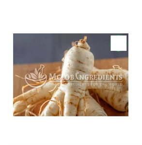 Extrait de Ginseng Américain Naturel Premium en Poudre – Complément Herbal Anti-Stress - Product Image 1