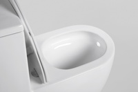 Inodoros Modernos Blancos de Cerámica Fáciles de Limpiar, Inodoro de Una Pieza con Sistema Tornado y Vortex, con Botón de Descarga Redondo para Baño