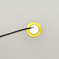 Diaphragme piézoélectrique circulaire en laiton SWT 27 mm 4 kHz avec option de câblage intégré pour équipements domestiques et d'alarme de sécurité