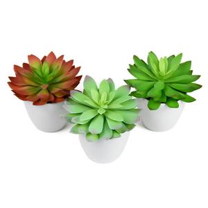 Muro <span class=keywords><strong>de</strong></span> Flores Artificiales, Plantas Decorativas Chinas, Suministros <span class=keywords><strong>de</strong></span> Jardín Artificiales, Macetas Coloridas para Cementerios, Suculentas Lindas - Product Image 5