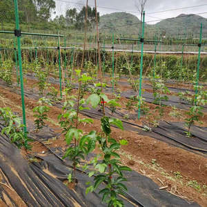 Tige en fibre de verre agricole haute résistance pour tente anti-moustiques, multi-spécifications, technologie de pultrusion, pour la construction de supports de tomates - Product Image 3