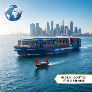 Layanan DDP Door-To-Door Pengambilan Barang dari Pemasok/Produsen Domestik Pengiriman LCL+Ekspres Barang Umum Singapura Melalui Guangzhou - Product Image 5