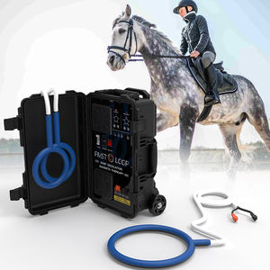 Quente na Europa <span class=keywords><strong>Electro</strong></span> Magnetic <span class=keywords><strong>Wave</strong></span> <span class=keywords><strong>Therapy</strong></span> Máquina Para Cavalos Pemf Loop Redução Da Dor Dispositivos De Terapia Magnética Cavalo - Product Image 5