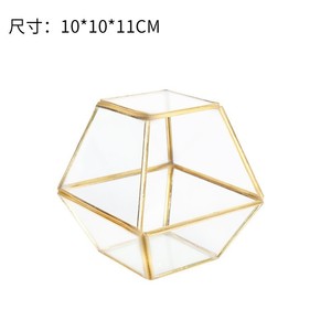 Terrario Colgante de Cristal, Moderno y Artístico, con Forma de Lágrima, Geométrico, Poliedro, Soporte para Plantas de Aire, Maceta de Escritorio, Florero DIY - Product Image 6