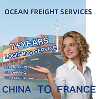 Agent de transport Ddp Chine aux États-Unis pour fournir un service gratuit d'inspection de qualité d'entreposage rapide