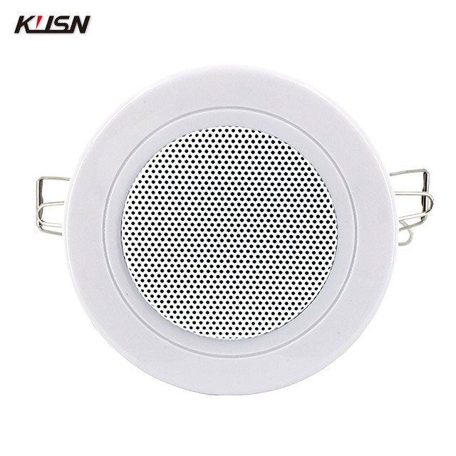 2.5 Inch 3 Watt Nightstand Ceiling Speaker OEM/ODM Mini Powered Speaker Ceiling Pa System for Home