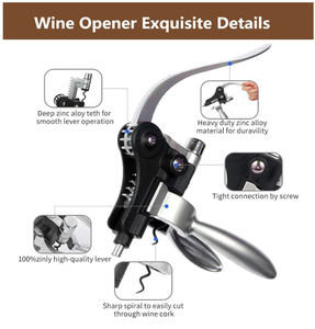 Juego <span class=keywords><strong>de</strong></span> Regalo <span class=keywords><strong>de</strong></span> Lujo <span class=keywords><strong>de</strong></span> 6 Piezas para Abrir Vino con Aerómetro, Vertedor y Tapón, Ideal para Regalo <span class=keywords><strong>de</strong></span> Inauguración <span class=keywords><strong>de</strong></span> Casa o Boda - Product Image 3