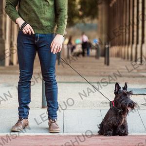 Venta caliente <span class=keywords><strong>Collar</strong></span> de perro correa retráctil ajustable perro <span class=keywords><strong>Collar</strong></span> correa para perros - Product Image 5