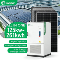 Sistem Penyimpanan Energi Baterai Surya Hybrid Sunpal Bess, Kabinet Baterai Luar Ruangan 100Kw 215Kw 261Kwh All in One Ess