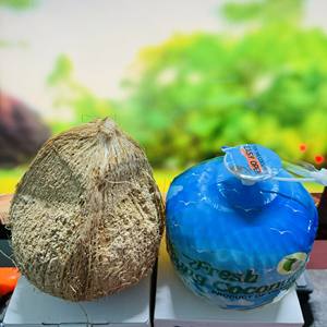 Noix de coco délicieusement fraîches - Product Image 6