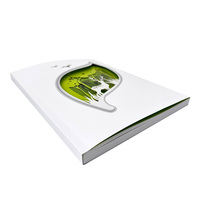 Folleto OEM, Papel de Arte, Encuadernación Perfecta, Cubierta Suave, Laminación de Película, Impresión Offset, Libro de Muestras