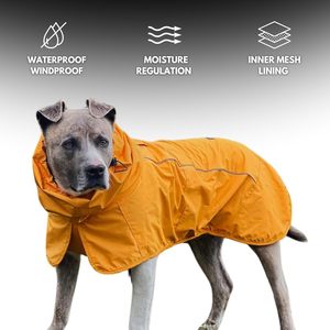Dog <strong>Raincoat</strong> for Boys Premium <strong>Nylon</strong> Mesh Modern Waterproof Windproof Reflective Breathable Full-Body Coverage Mustard Yellow - Product Image 3