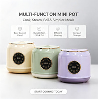 Mini Cuiseur à Riz Électrique Portable Multifonctionnel avec Tasse Mesureuse Intégrée pour Dortoir, Boîtier en Plastique Intelligent et Automatique