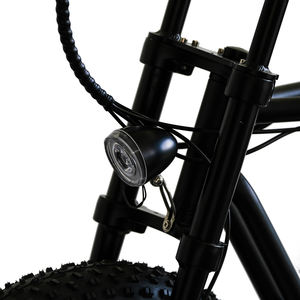 GS009 Vente chaude <span class=keywords><strong>Moteur</strong></span> 500W Batterie au lithium 48v 15AH Pneu de 20 pouces Vélo électrique Fabricant Vélo électrique rapide - Product Image 4