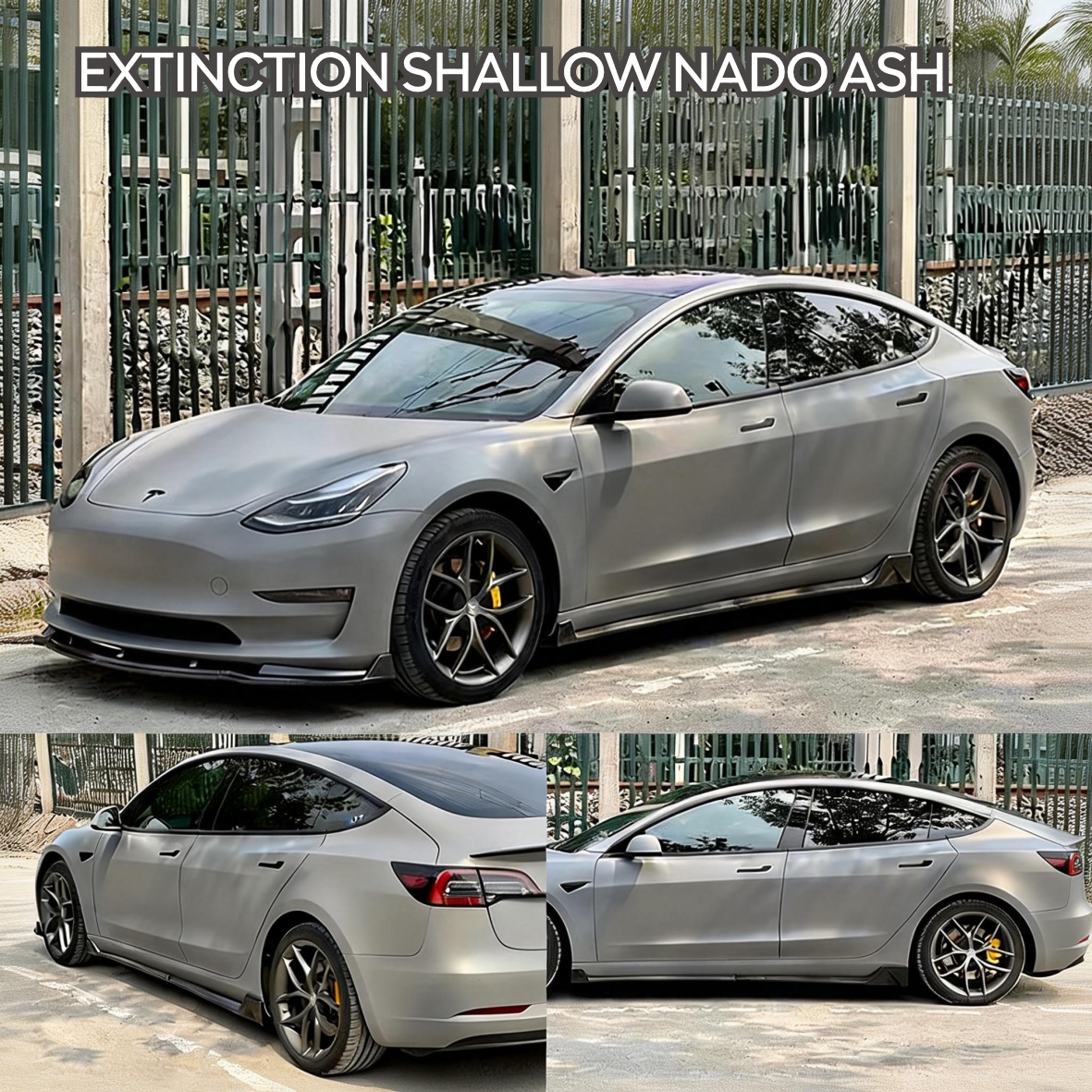 PET-EXTINCTION SHALLOW NADO ASH