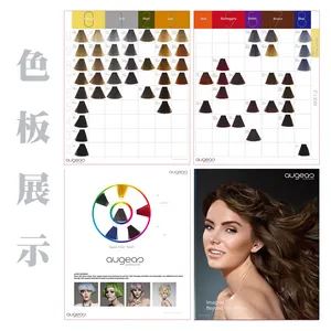 Guangzhou neue Low MOQ günstigen Preis Private Label Hersteller besten natürlichen Salon Farbstoff profession elle dauerhafte Creme Haarfarbe
