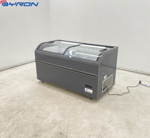 Congelador Comercial Horizontal con Ruedas para Fácil Movimiento y Limpieza, Ideal para Mercados de Agricultores y Venta al por Mayor de Alimentos - Product Image 1