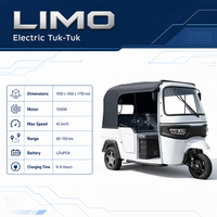3 Wheel Electric Passenger Vehicle TukTuk With Canvas Canopy for Tourist Sightseeing Easy Maintenance Bulk Order