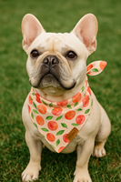 Bandanas pour chiens en tissu polyester en gros, motifs personnalisés, bandanas multi-designs pour petits chiens, chiots et chats