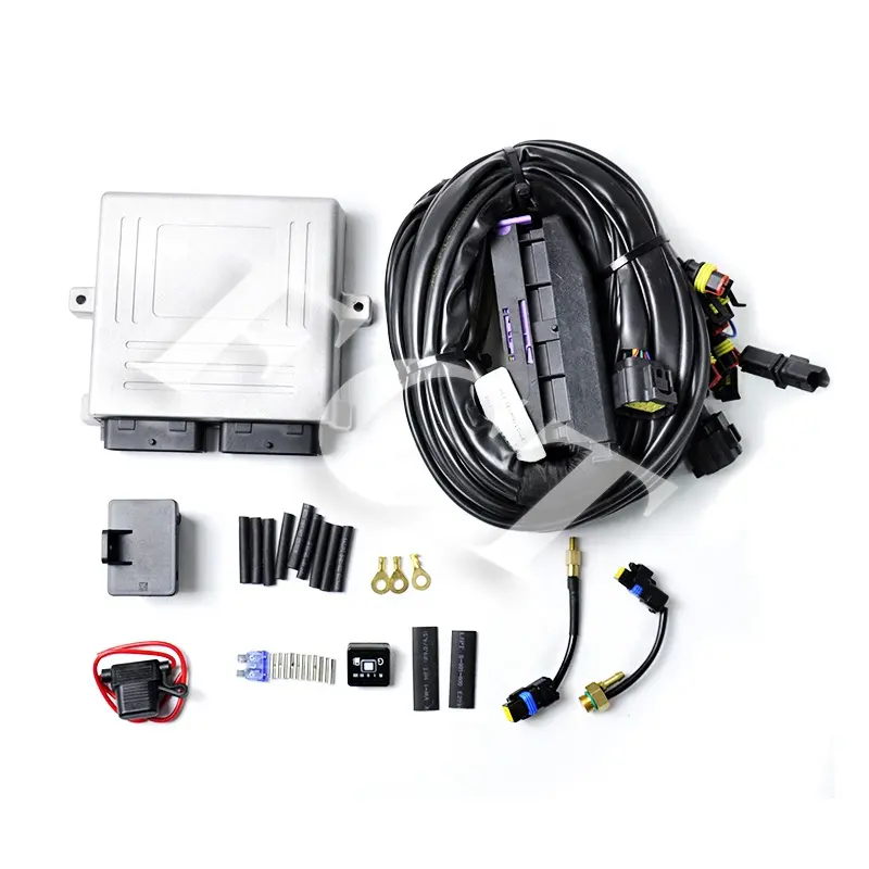 ECU para coche de 6 cilindros GNV GNC GLP Cng Ecu E300 tipo para sistema de inyección de Autogas