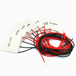 TEC1-12706หล่อเย็นเทอร์โมอิเล็กทริก12V 61W 40*40mm โมดูลแผ่นฮีทซิงค์ Peltier TEC1 12706 - Product Image 1