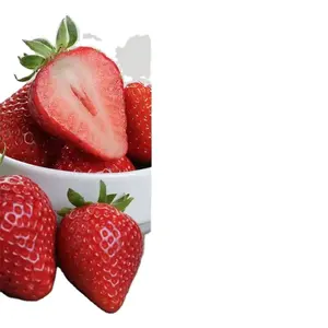 Vegane Großhändler Kinder Erdbeere Zahnpasta Kinder reiner biologisch abbaubarer Geschmack für Zahnpasta Kiwi Geschmack Zahnpasta