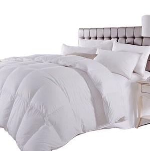 Manica lunga di vendita calda ricamato hotel Comforter/<span class=keywords><strong>Trapunta</strong></span>/Duvet - Product Image 1