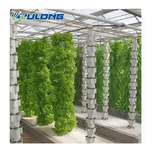 Agricultural Greenhouses Vertical Farming Hydroponic System Greenhouse Suppliers