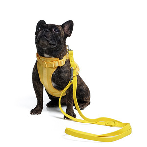 Nouvel ensemble harnais, laisse et collier pour chien, coloris macaron, imperméable et anti-traction, pour chiens de taille moyenne et grande, collection 2026, vente chaude - Product Image 6