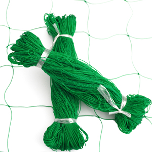 Customizable HDPE Durable 2m * 10m 10cm * 10cm Cutting Service Trellis <strong>Net</strong> Plant Support <strong>Net</strong> Yam <strong>Net</strong> - Product Image 4