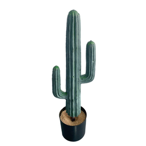 México Cactus Fabricación Simulación Planta artificial Cactus Plantas en macetas para escritorio Estante Hogar Oficina Baño Cocina Decoración - Product Image 3