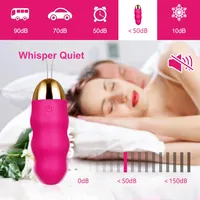 Fernbedienbarer Tragbarer Vibrator für Frauen Klitoris- & G-Punkt-Stimulation 12 Modi USB-Aufladbar Wasserdicht Erwachsenen-Sexspielzeug